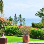 Lush landscape