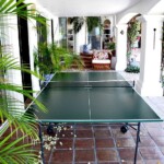 Ping Pong